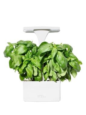 Short St_ories LED Indoor Planter